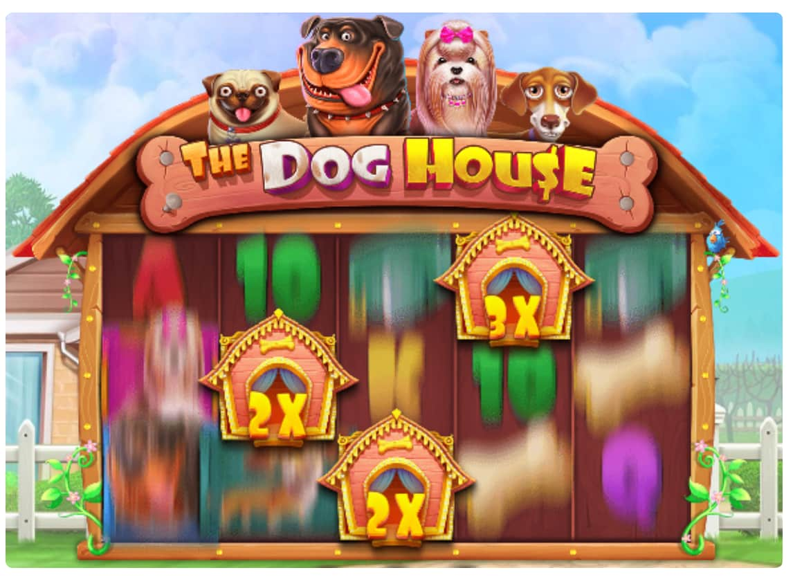 Slot The Dog House Na Prawdziwe Pieniądze